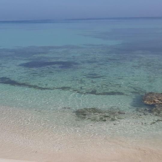 Tropic Ecolodge Punta Rucia Eksteriør billede